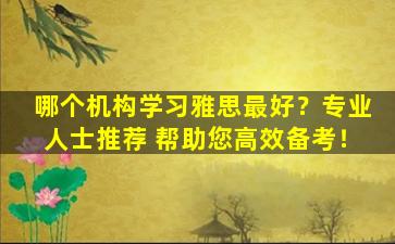 哪个机构学习雅思最好？专业人士推荐 帮助您高效备考！